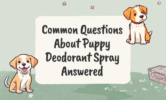 Common Questions About Puppy Deodorant Spray Answered