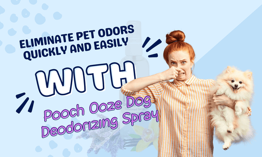 Eliminate Pet Odors Quickly and Easily with Pooch Ooze Dog Deodorizing Spray
