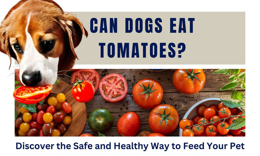 Can Dogs Eat Tomatoes?