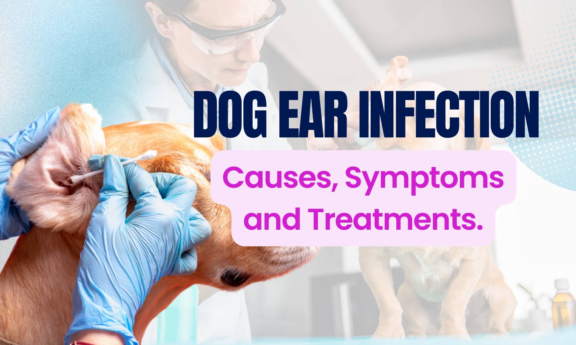 Dog Ear Infections: Causes, Symptoms, and Treatment | Pooch Ooze