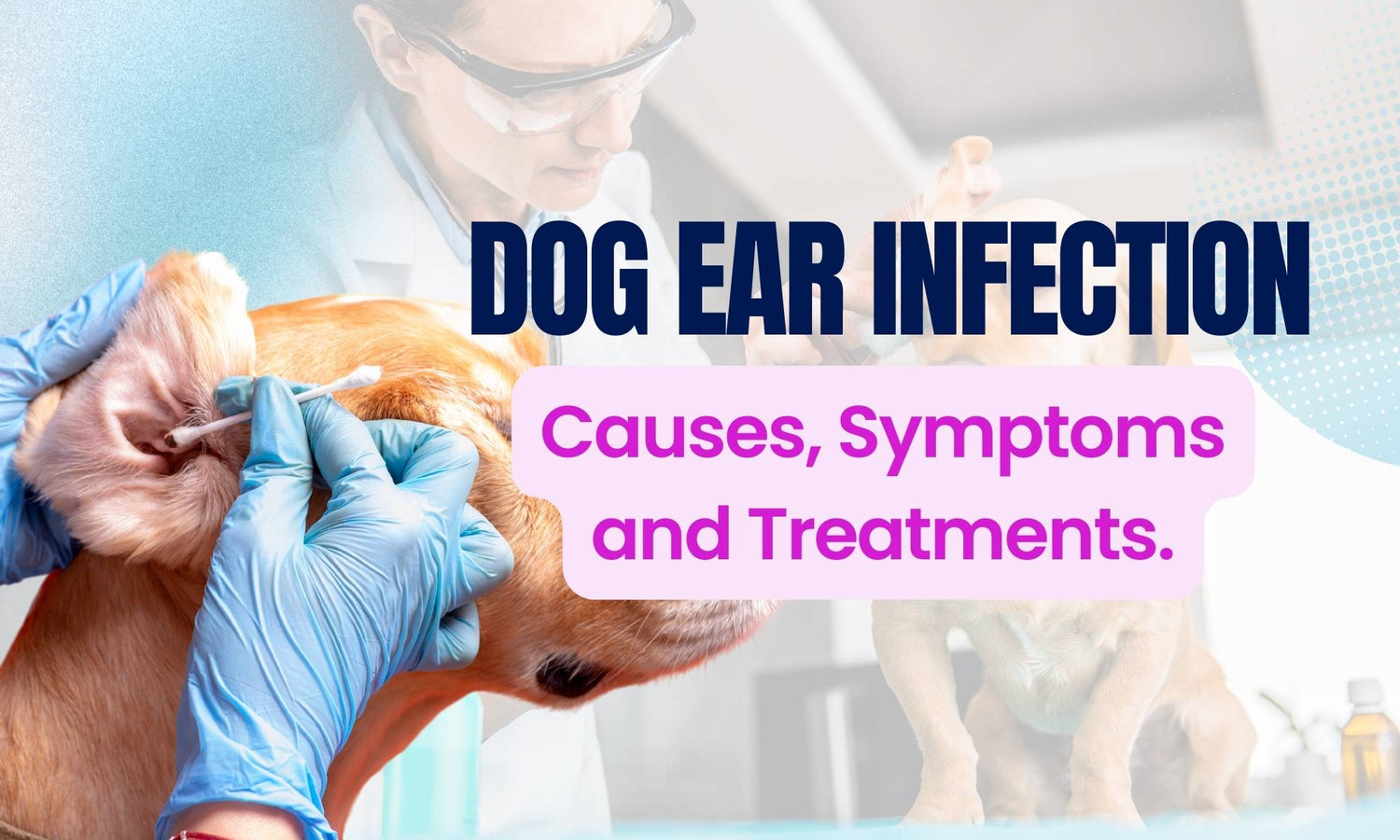 Apple Skin And Dog Ear Infections