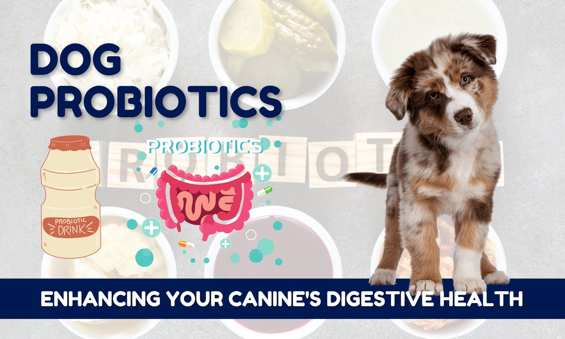 Dog Probiotics