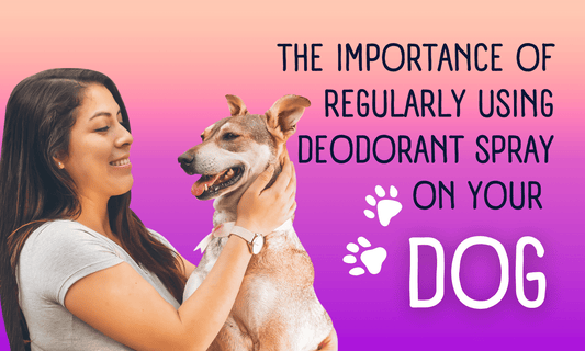 The Importance of Regularly Using Deodorant Spray on Your Dog