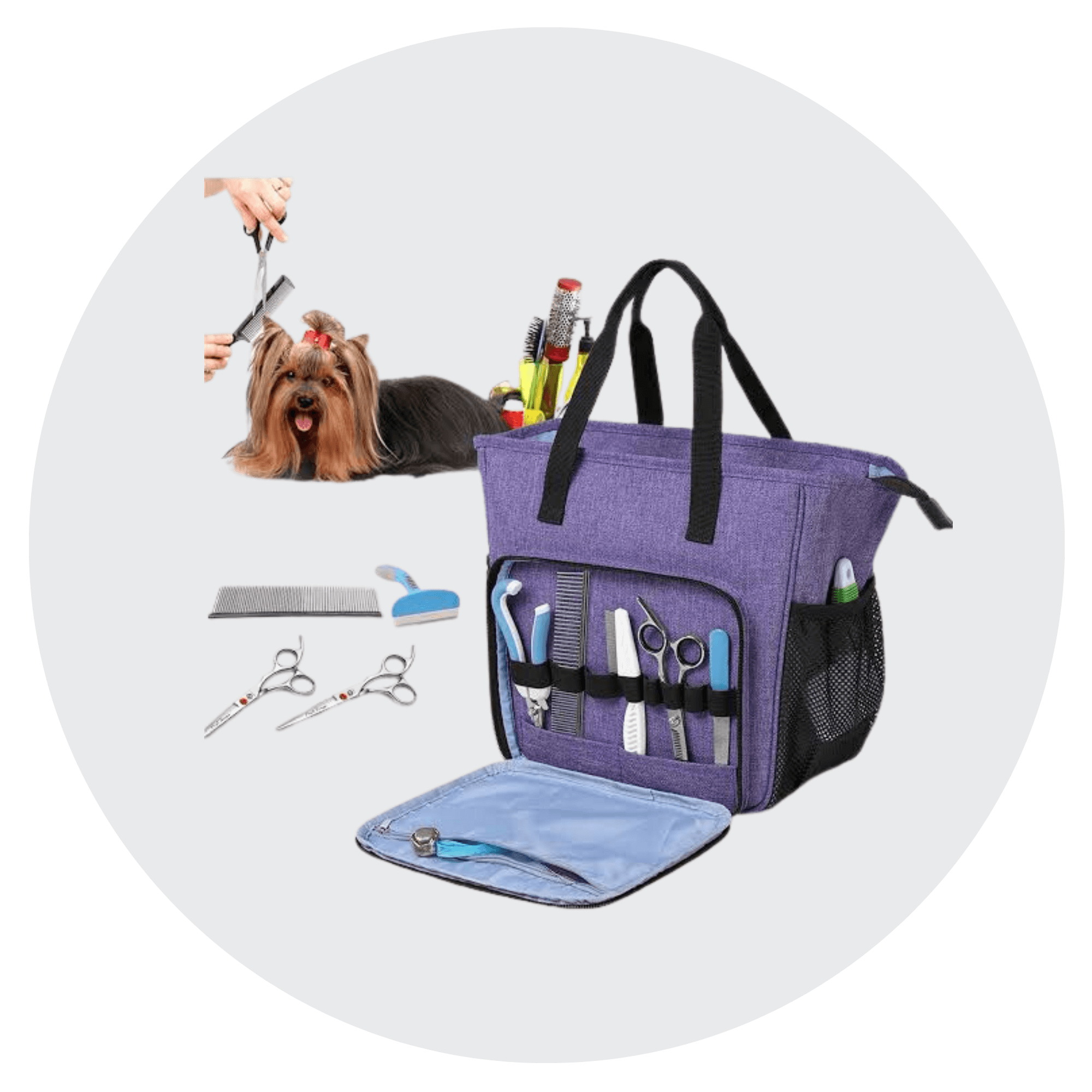 Essential Dog Grooming Tools and Equipment – Pooch Ooze